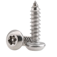 Stainless steel SS316 SS304 Torx Socket Pan Head Wood Screw